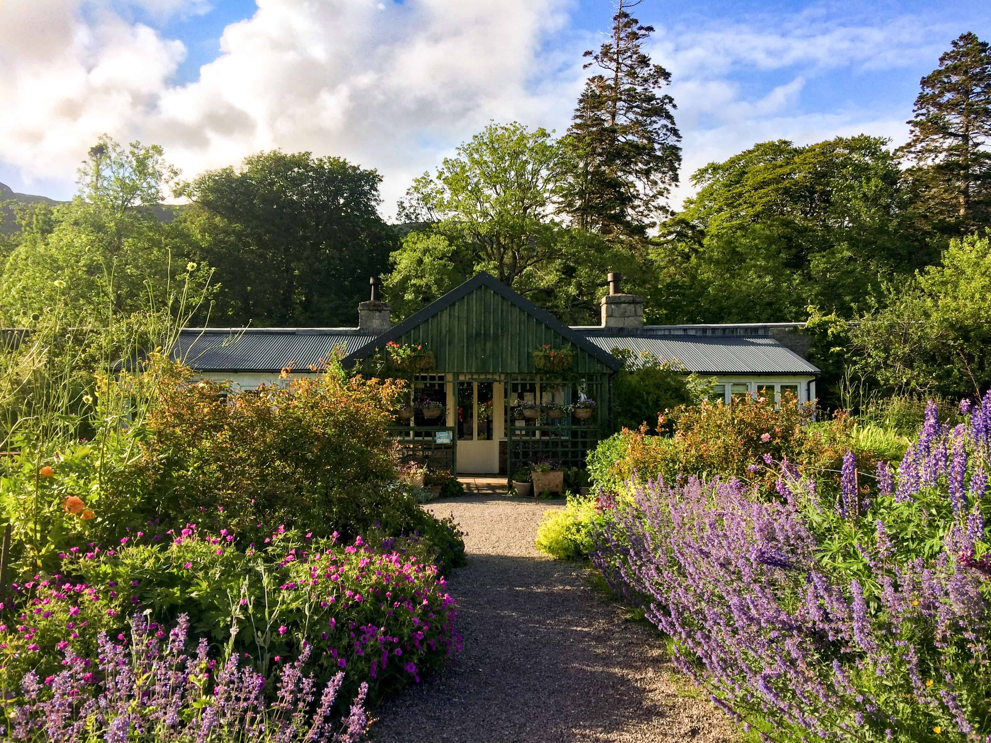 Walled garden applecross