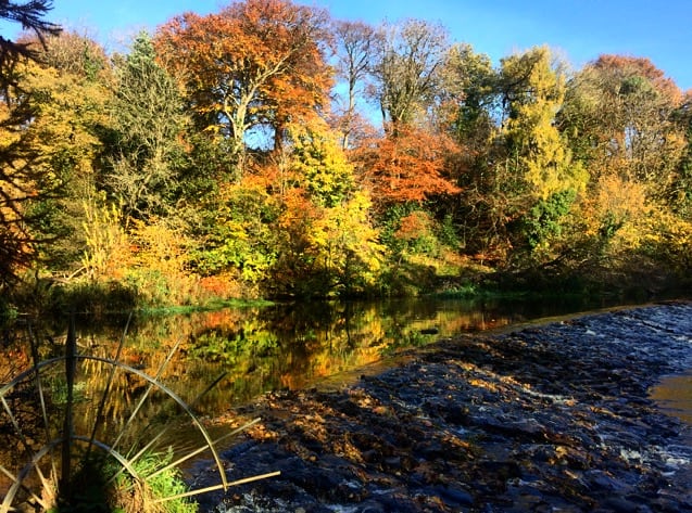 Almondell Country Park 1