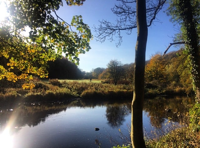 Almondell Country Park 2