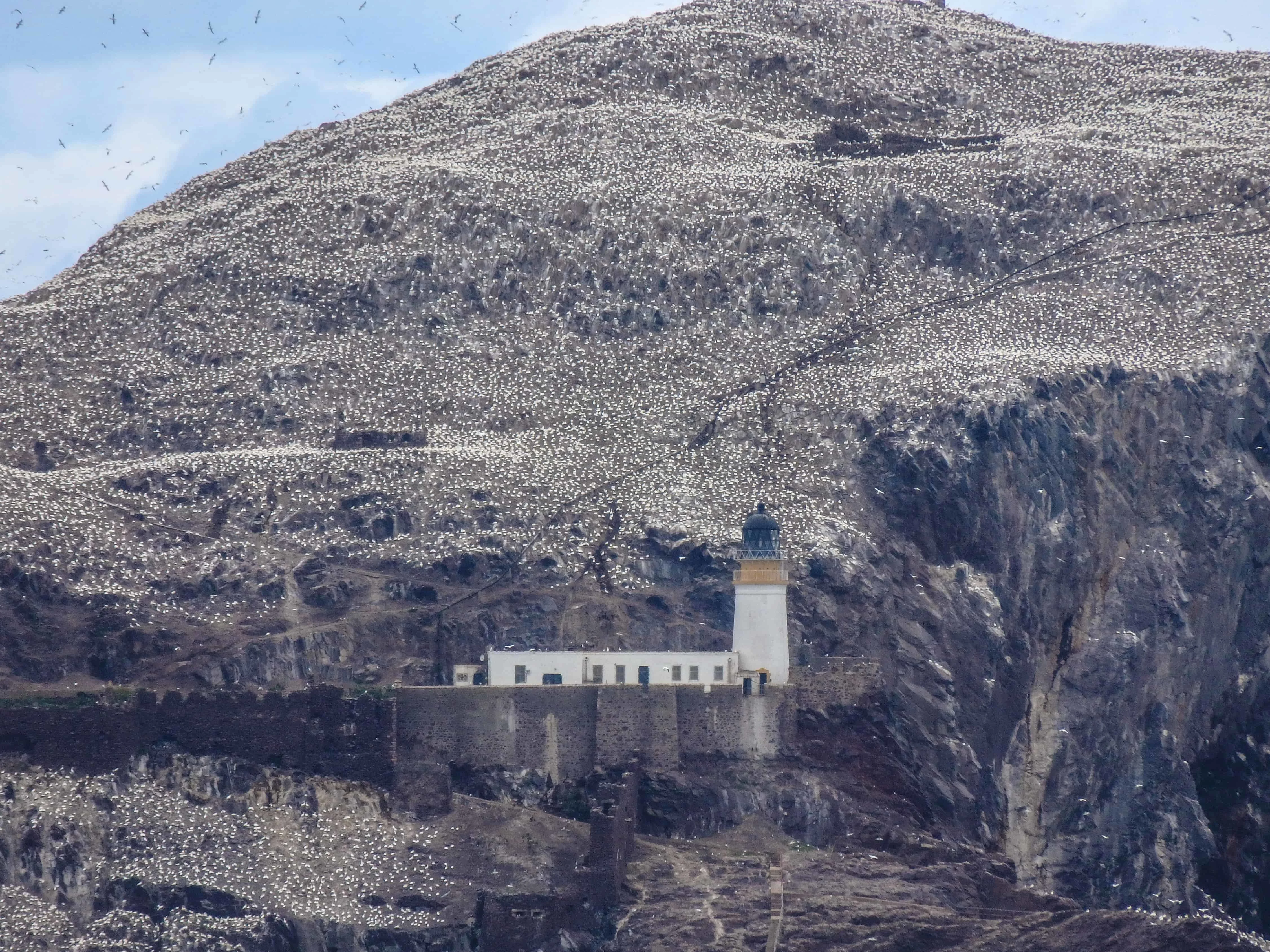 Bass Rock