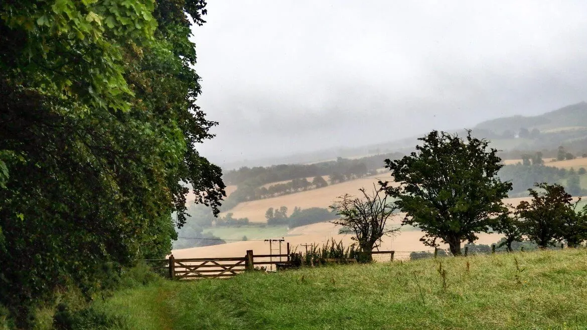 Scottish Borders Campsite