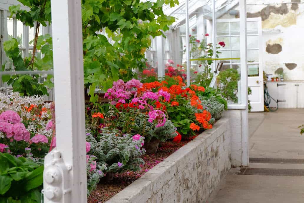 Inveresk Lodge Garden