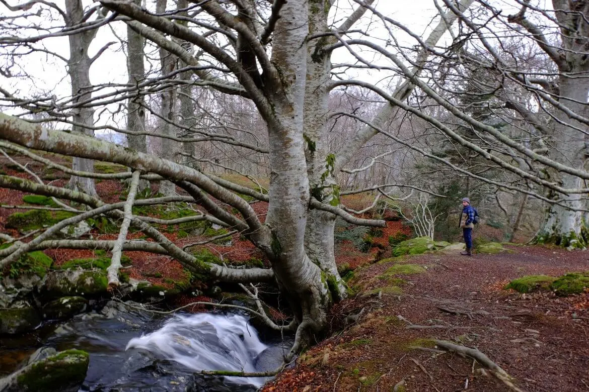 Falls-of-Acharn