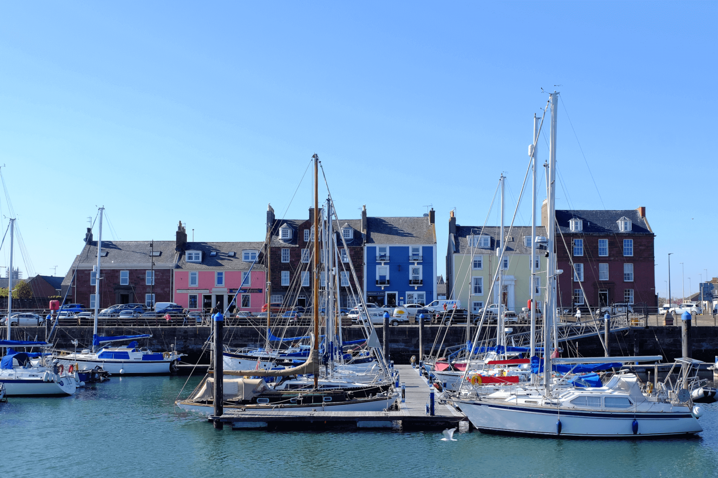 Discovering Sunny Scotland on the Angus Coastal Route