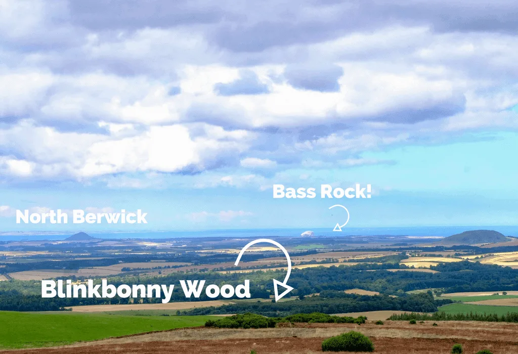 Location of Blinkbonny Wood