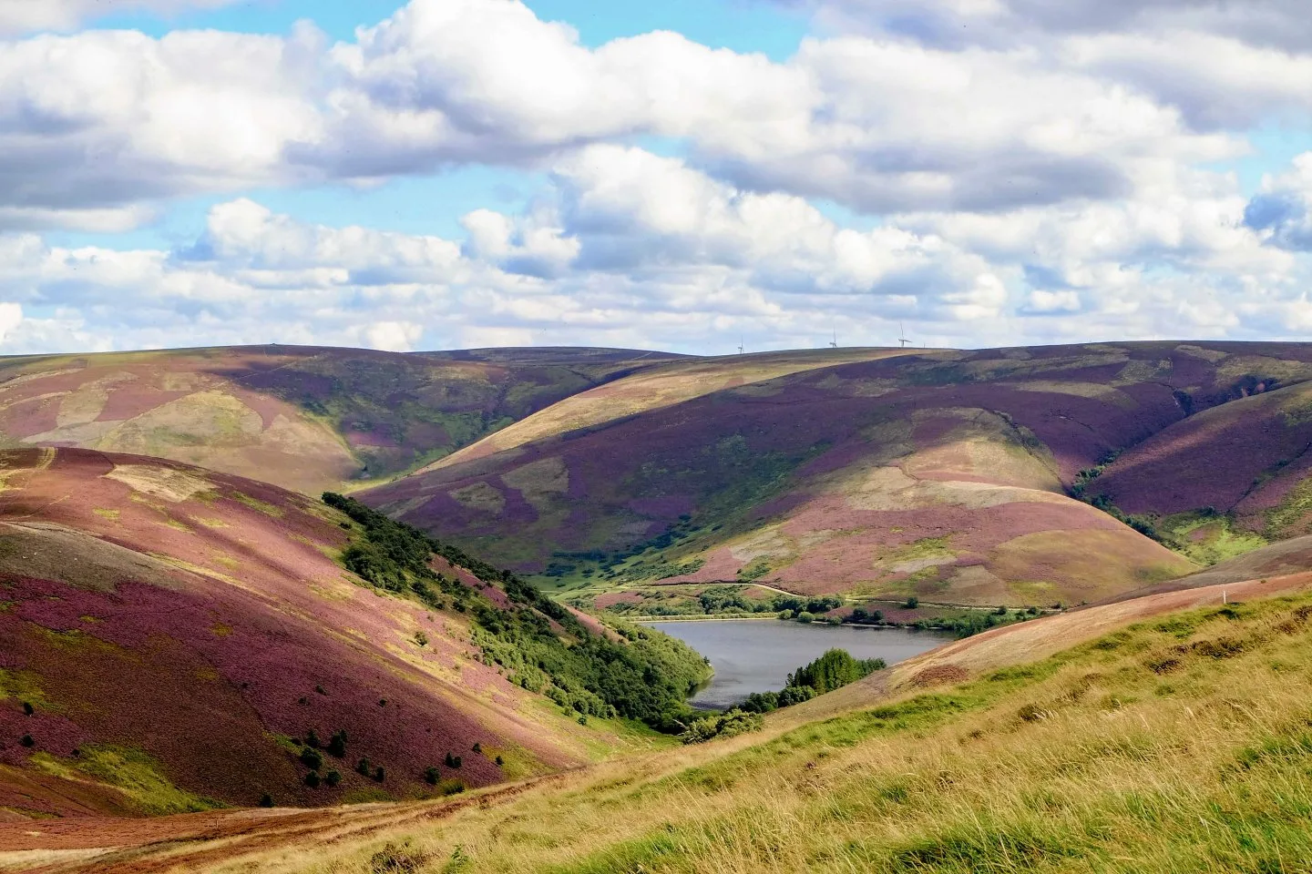 Hopes Reservoir Lammermuir Hills