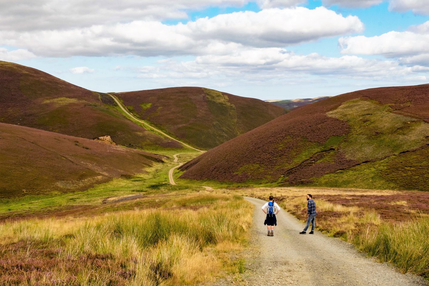 Lammermuir Hills