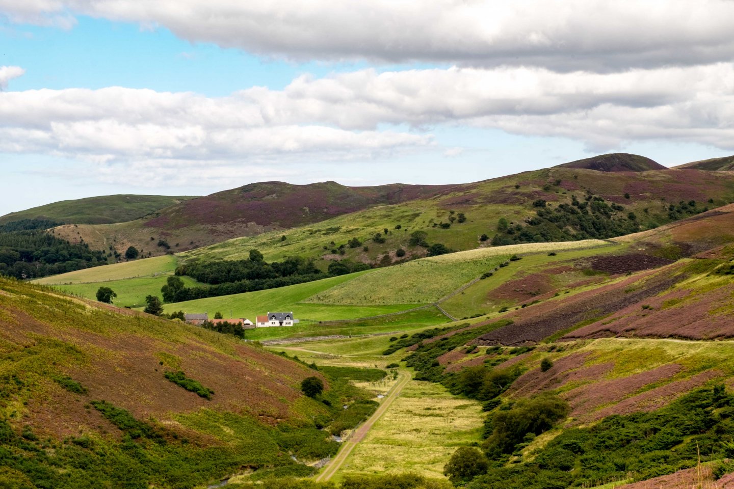 Lammermuir Hills