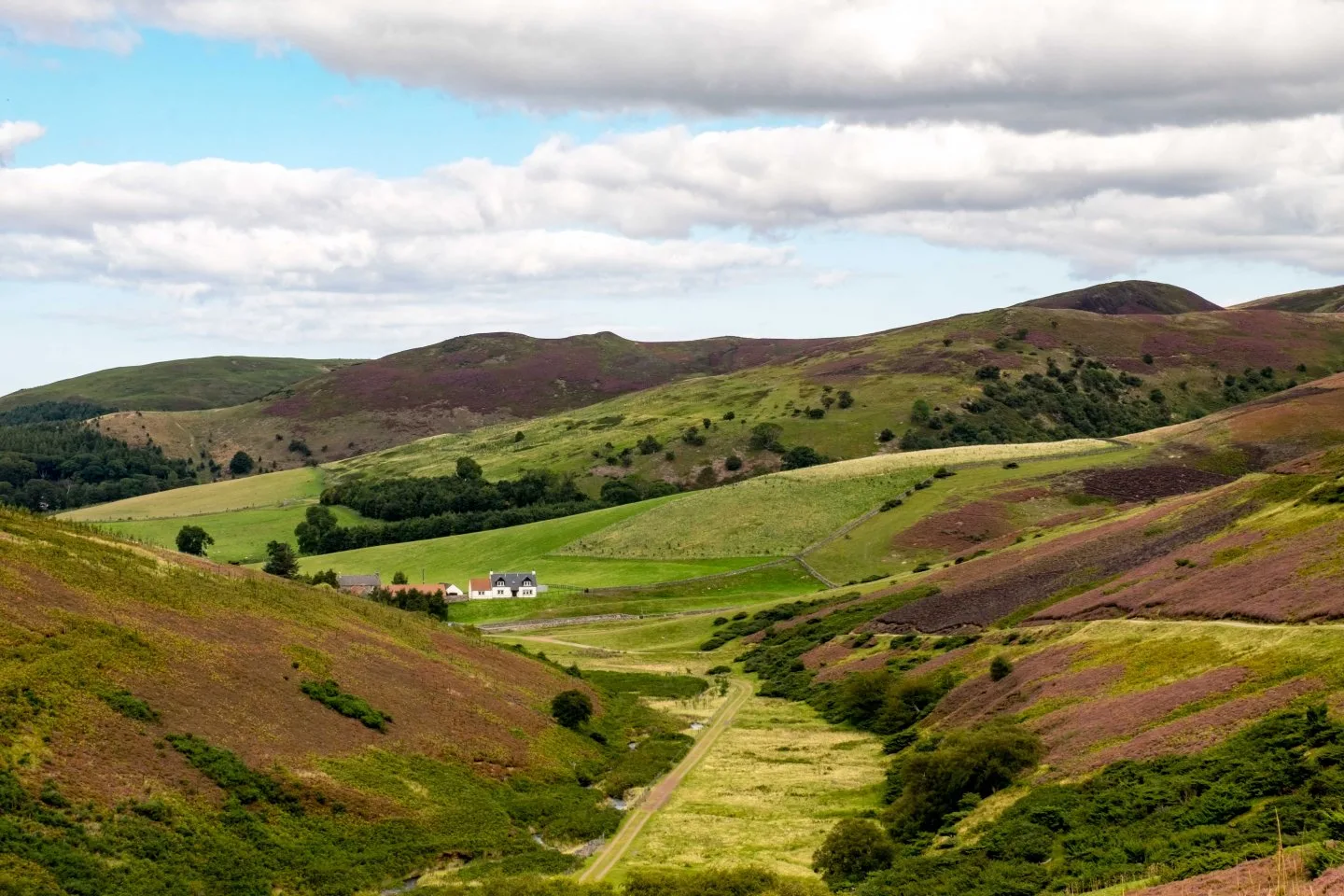 Lammermuir Hills