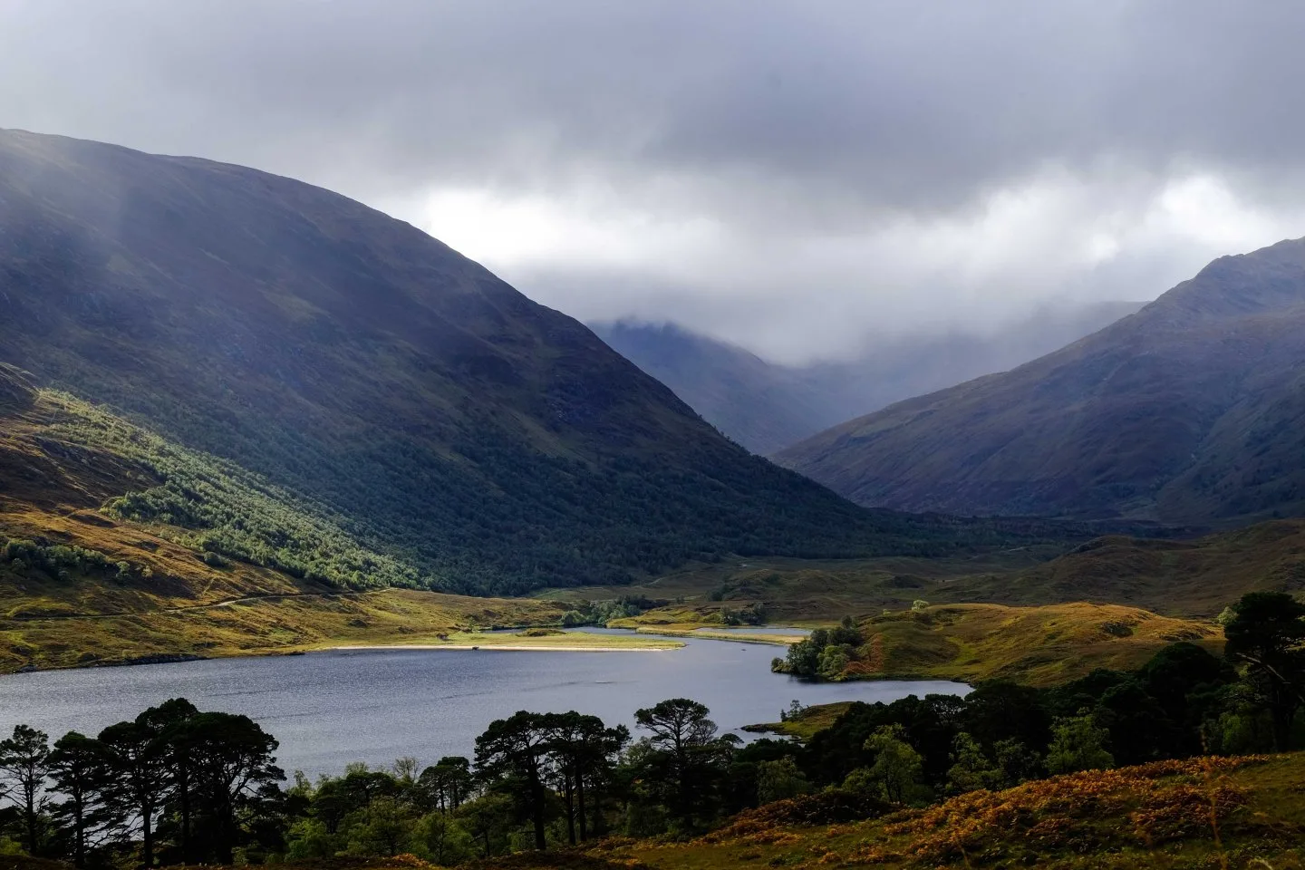 Glen Affric 