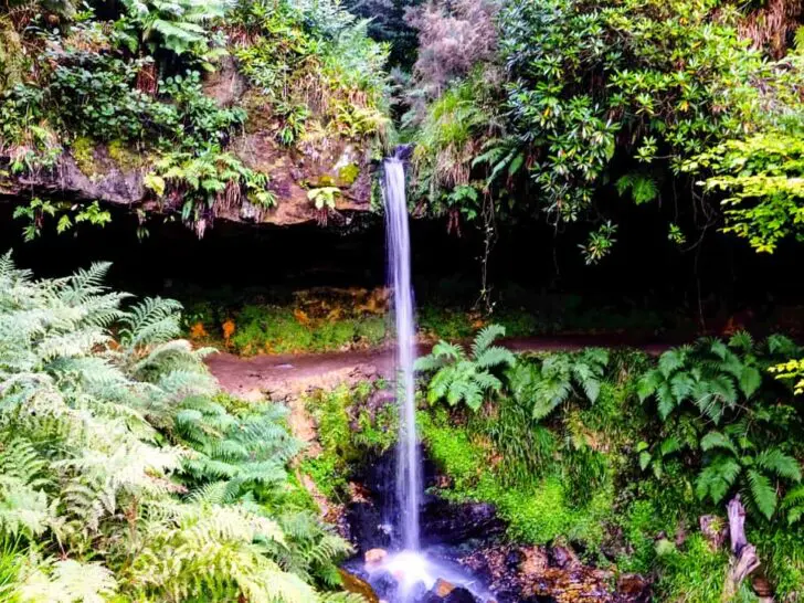 Maspie Den and Falkland, Fife
