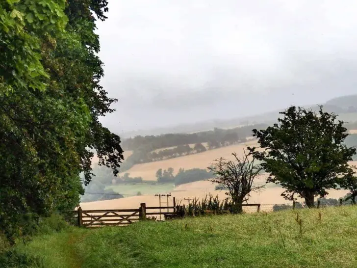 Ruberslaw Wild Woods, Scottish Borders