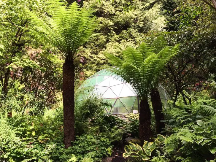 Attadale Gardens, Wester Ross: A Hidden Highland Garden