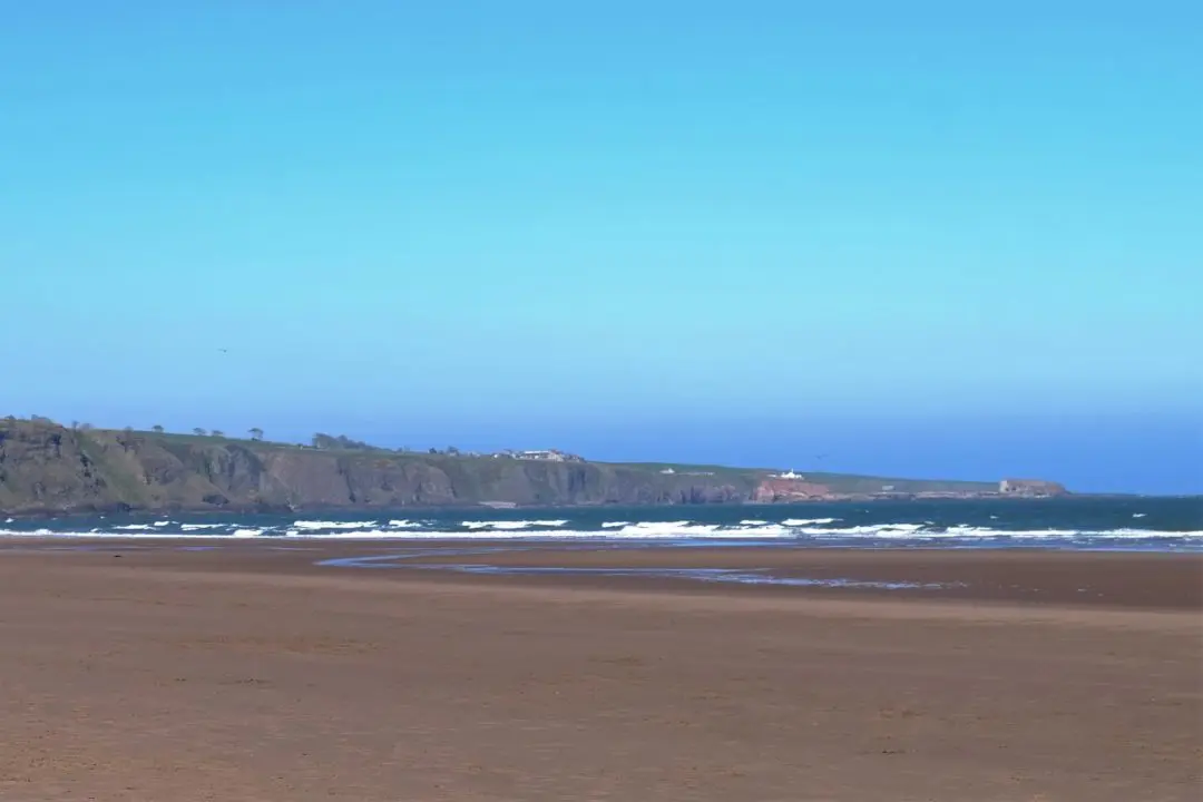 Lunan Bay Angus