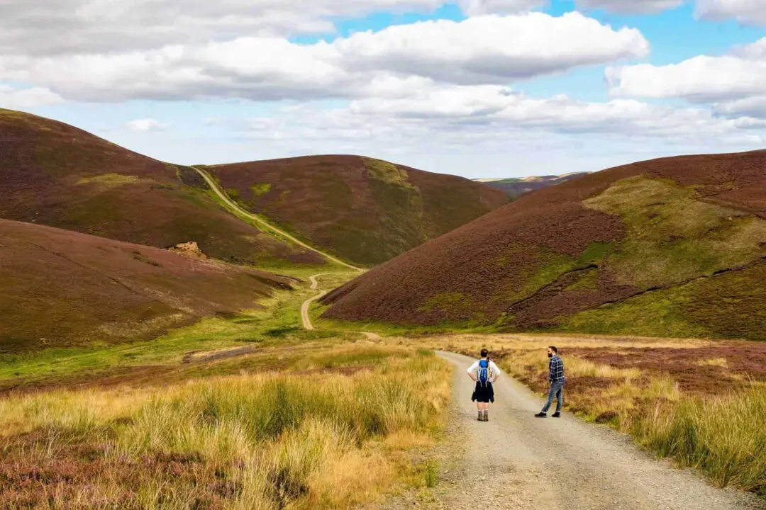 The Lammermuir Hills