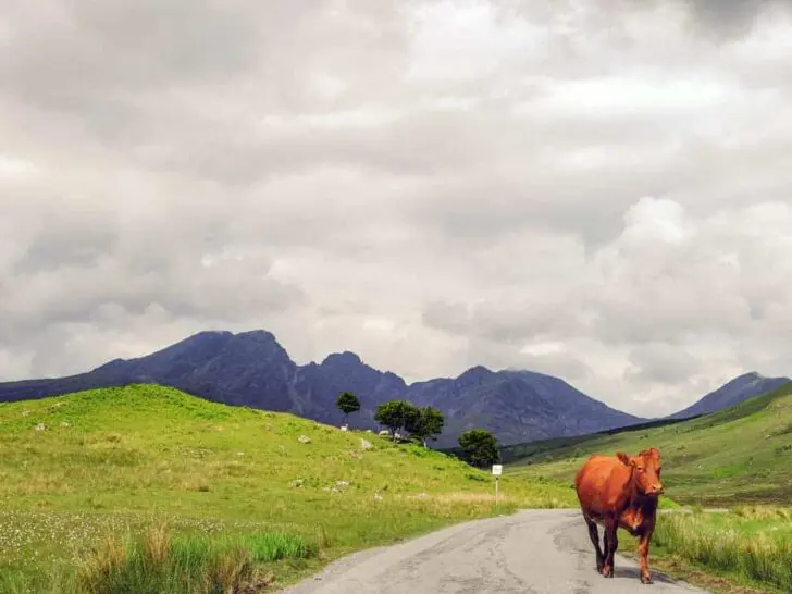 How to explore the Elgol Peninsula, Skye