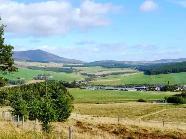Things to do in Speyside (that aren’t just whisky)