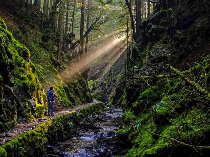 How to visit: Cowal