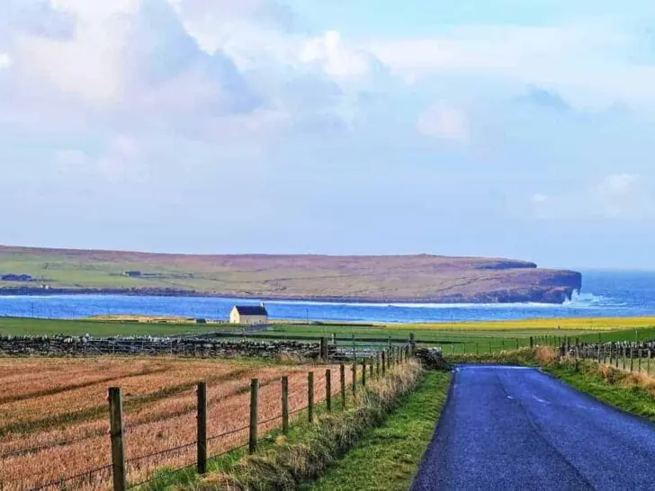 Crofting in Orkney at Instabillie