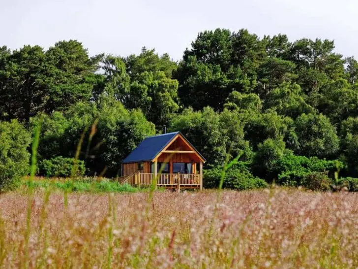 Birdwatcher’s Cabin, Loch Fleet, Golspie