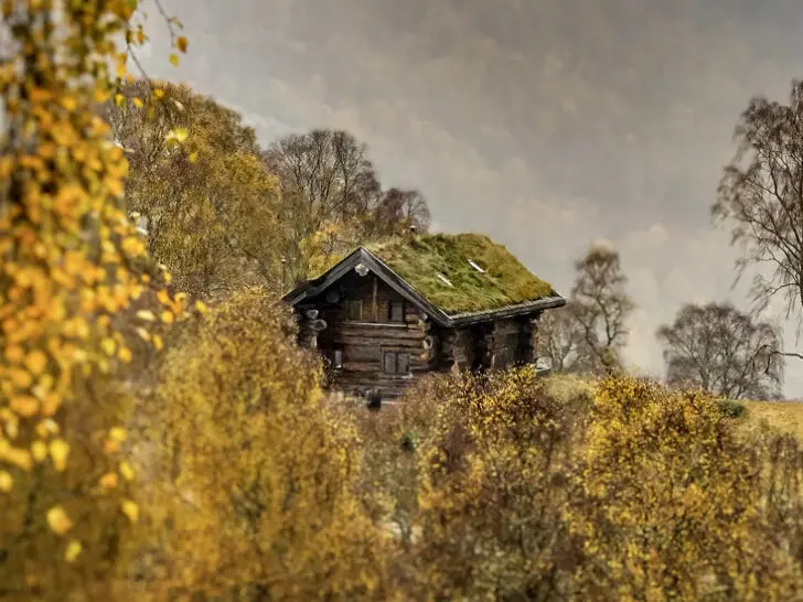 Eagle Brae in Autumn