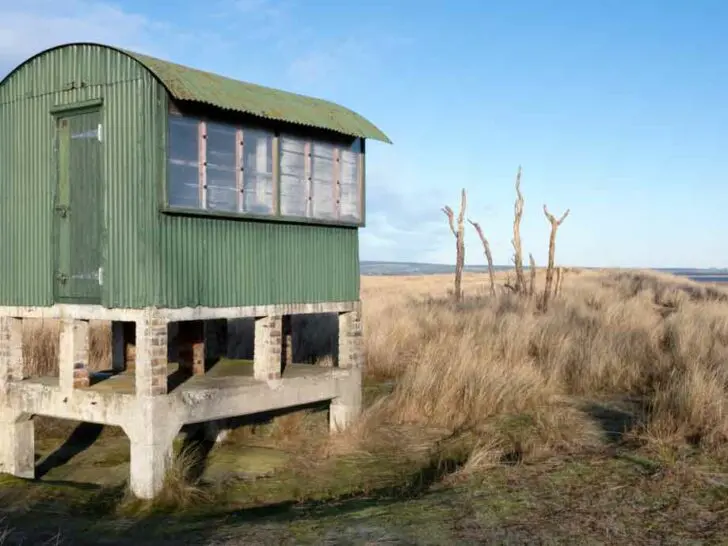 Scotland’s best walks – Tentsmuir Beach & Forest, Fife