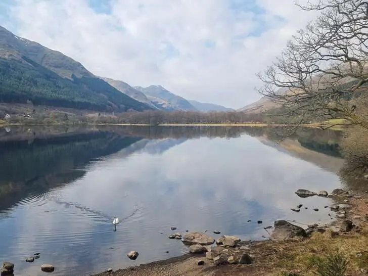 Things to do in Perthshire: a guide to Big Tree Country