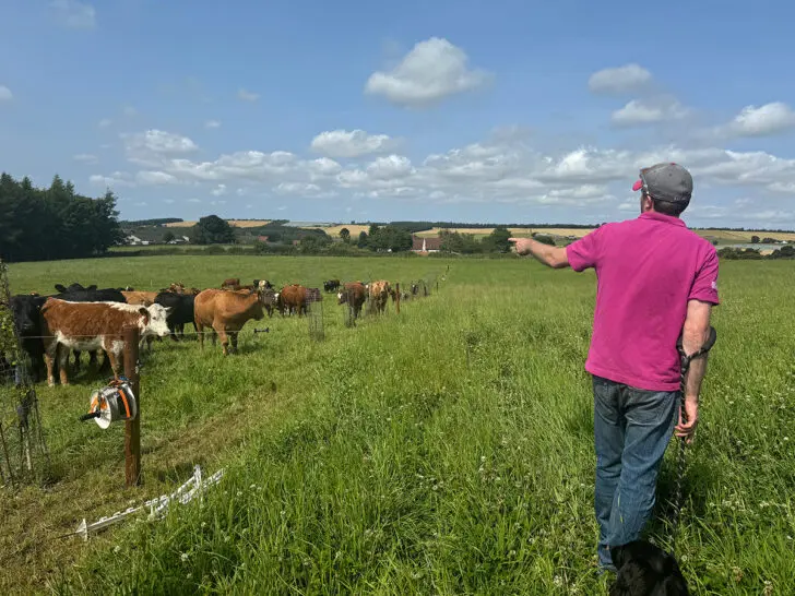 Scotland Wild Food: foraging classes & wild cooking in Scotland