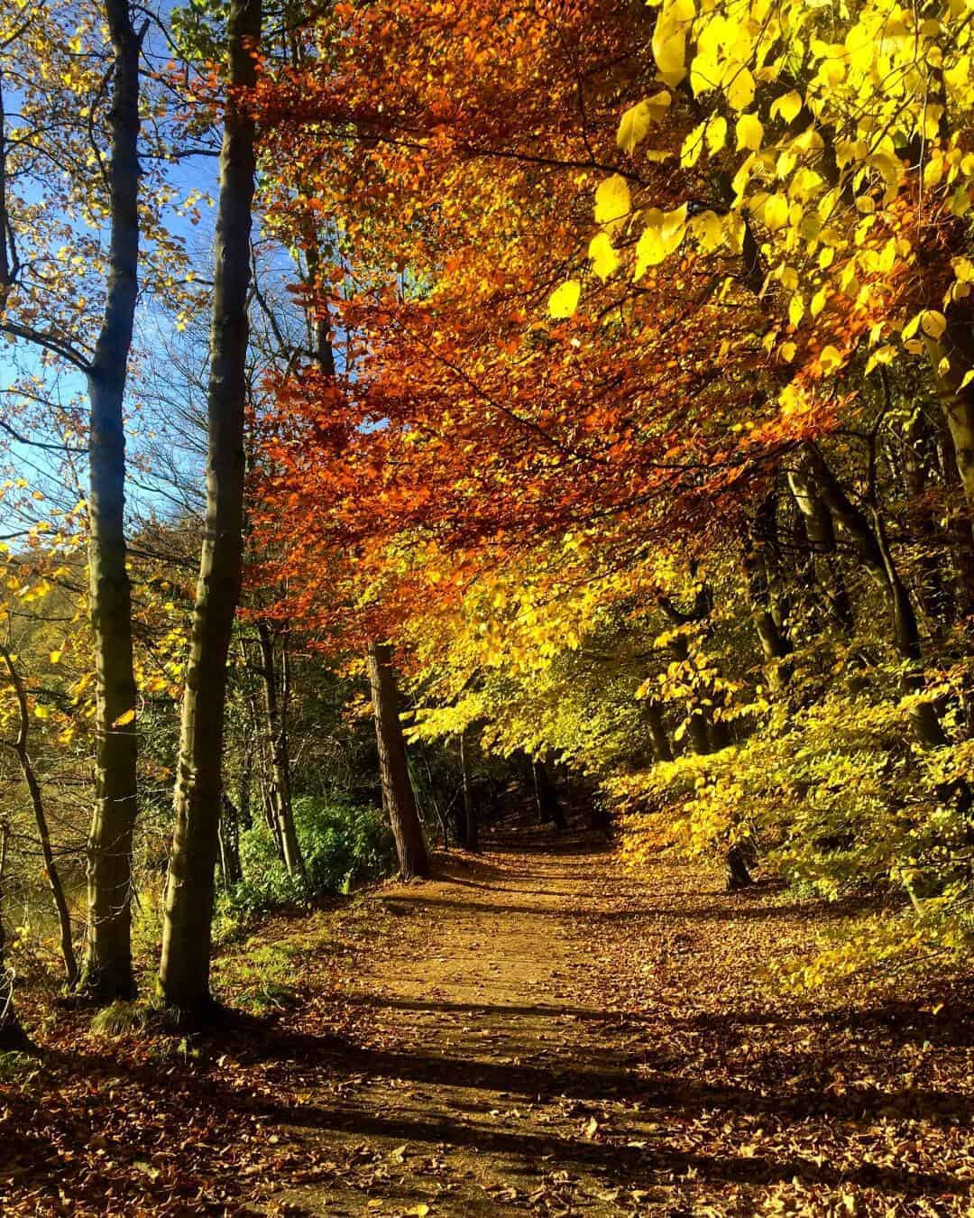 Almondell Country Park