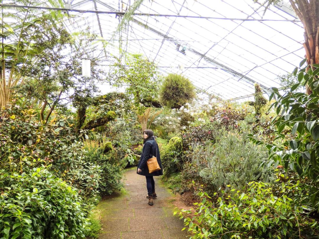 A botanical wonderland
