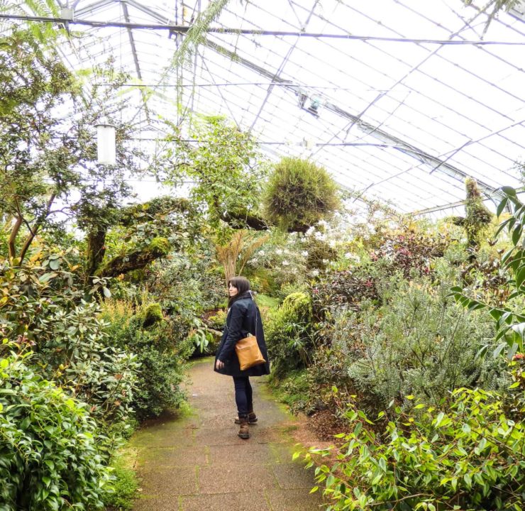 A botanical wonderland