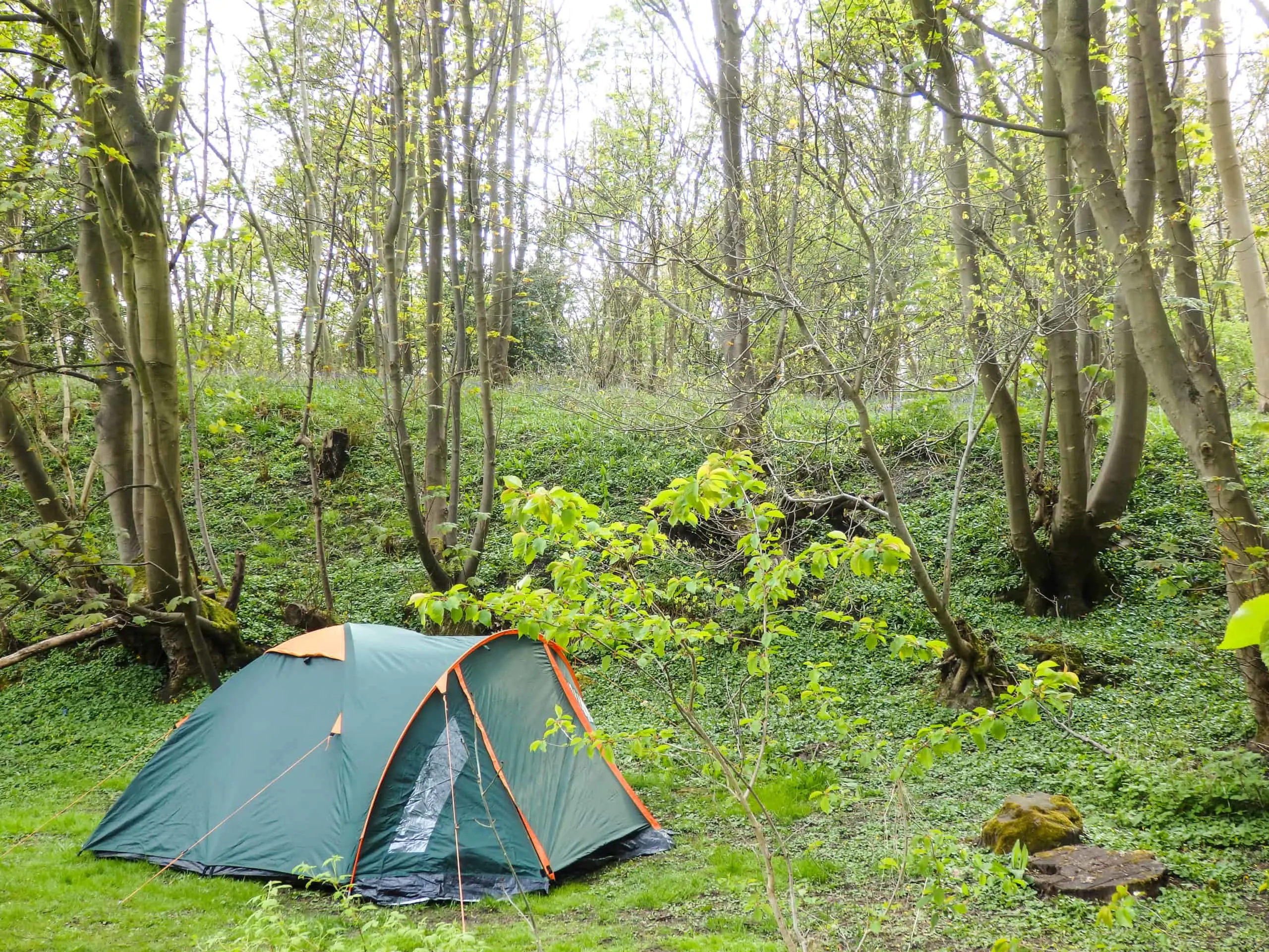 Campsites near Edinburgh