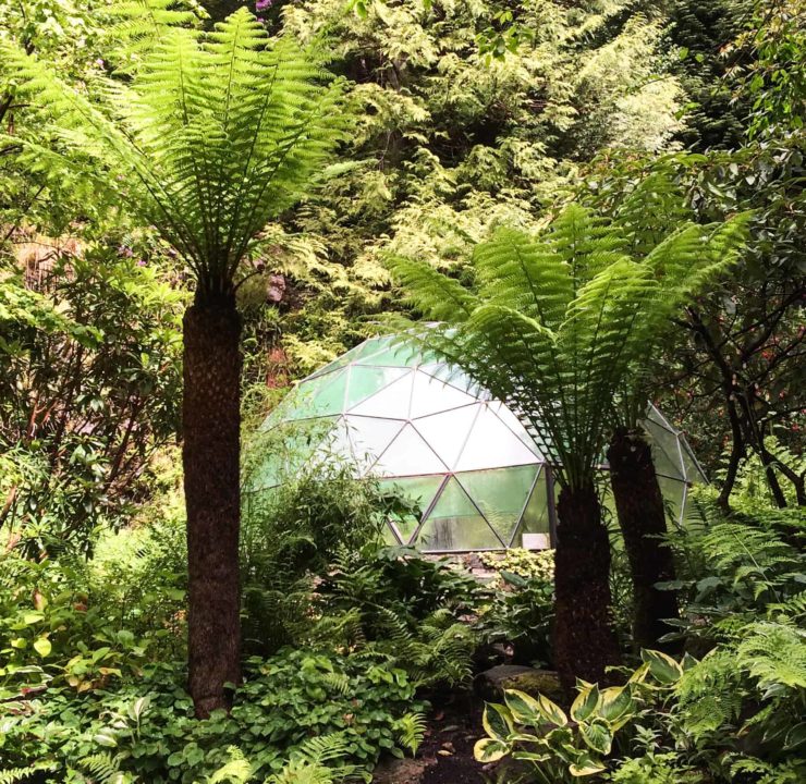 Attadale Gardens, Wester Ross