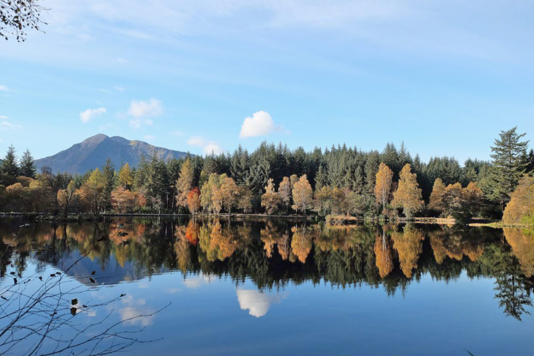 Glencoe Lochan - forest walks in Scotland