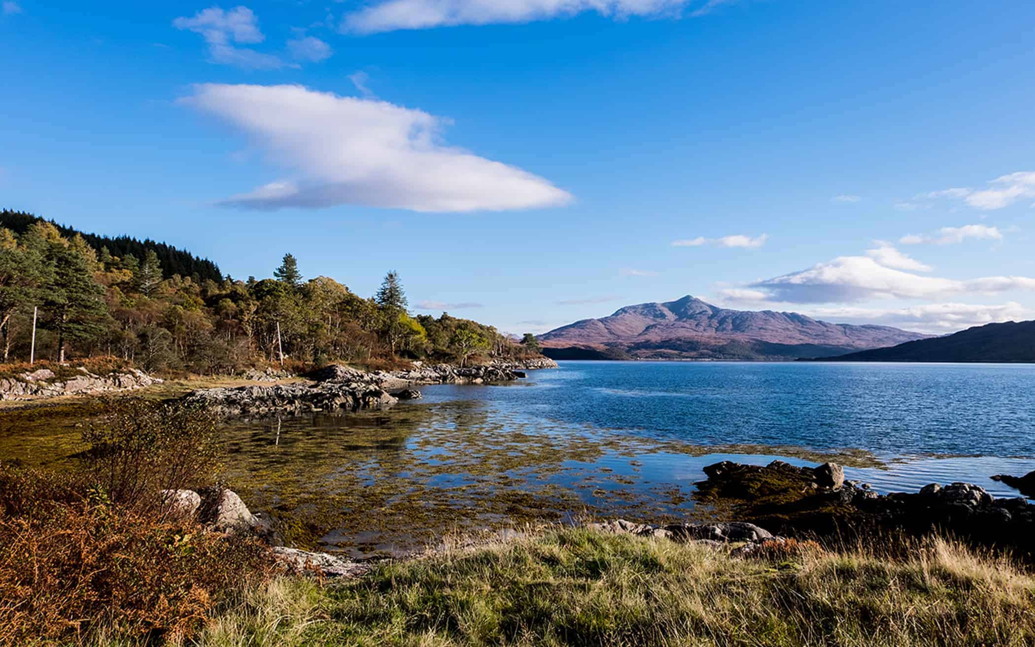 Ardnamurchan Glenborrowdale