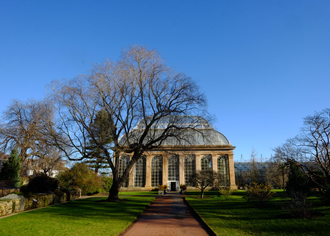Edinburgh Botanics - free things to do in Edinburgh