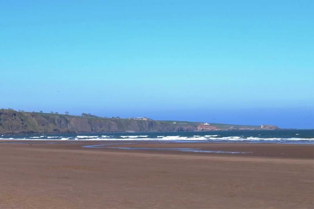 Lunan Bay Angus