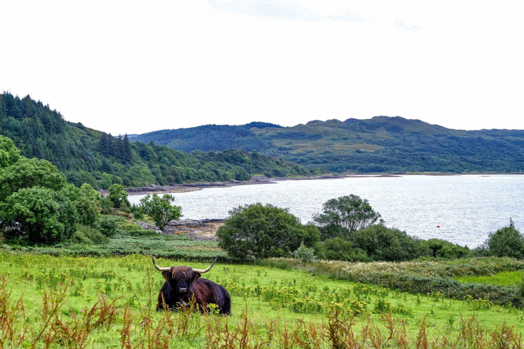 Loch Melfort Hotel Oban