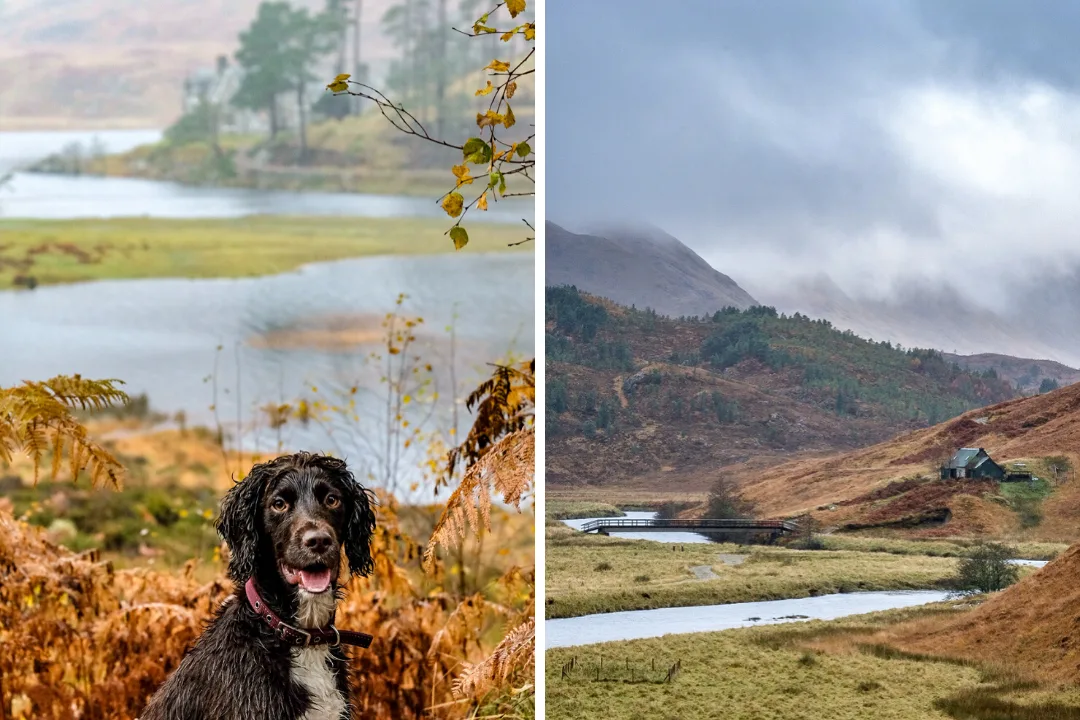 Glen Affric