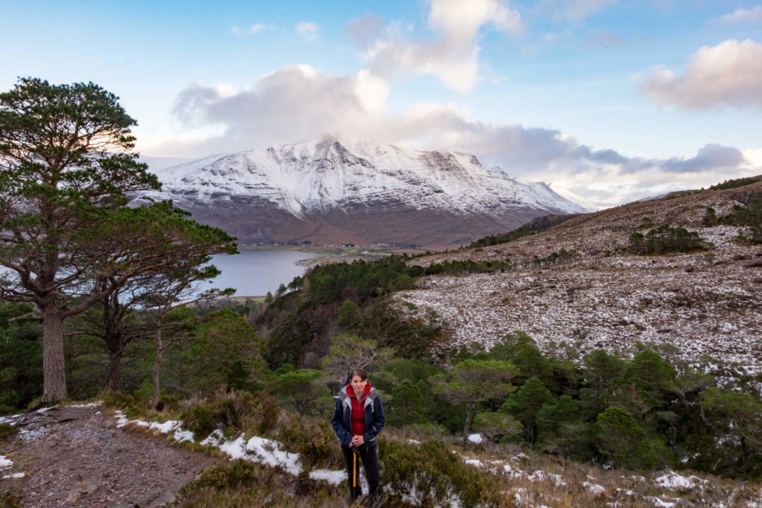 Beinn Eighe Scots Pines