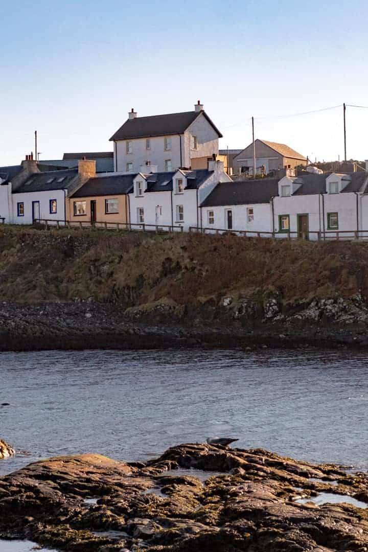 PortnahavenIslayseals Love from Scotland