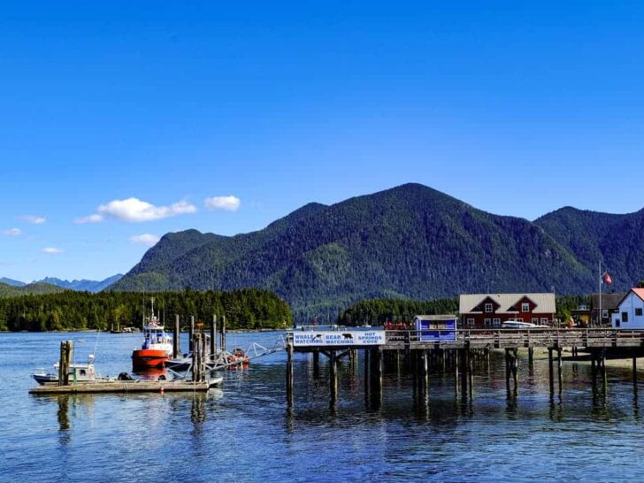 Love, from Vancouver Island