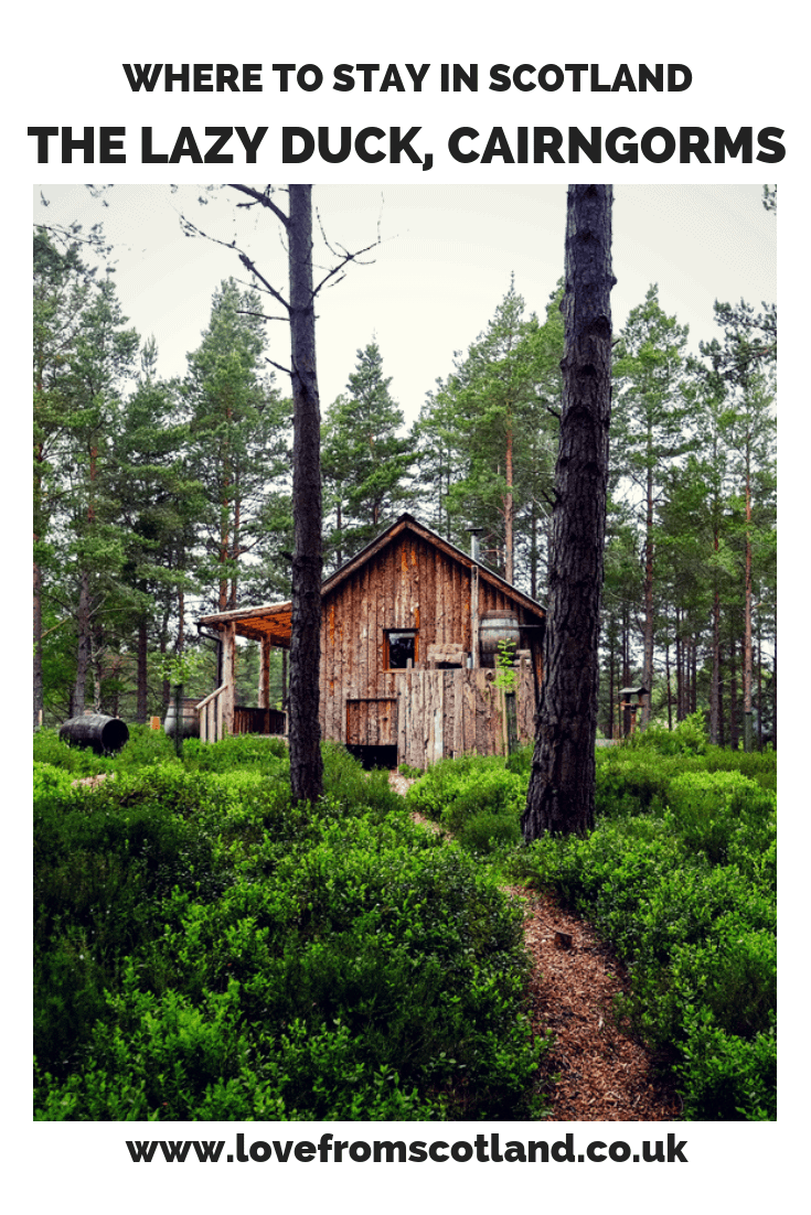 If you dream of retreating to a tiny log cabin in the woods, then I have the perfect spot for you. With an 8-bed hostel, a beautifully quiet 4-pitch campsite and three romantic eco huts, the Lazy Duck is a little piece of off-grid heaven