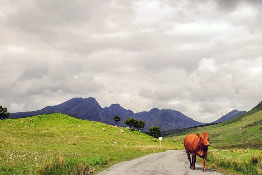 How to explore the Elgol Peninsula, Skye