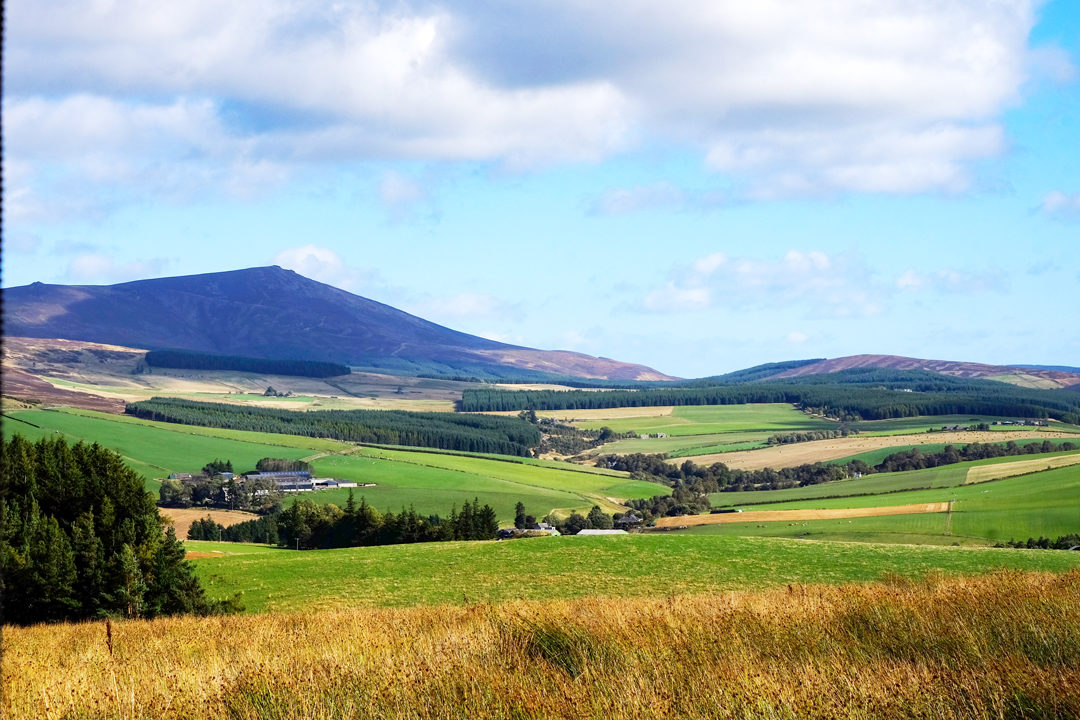 GlenlivetEstate2 Love, from Scotland