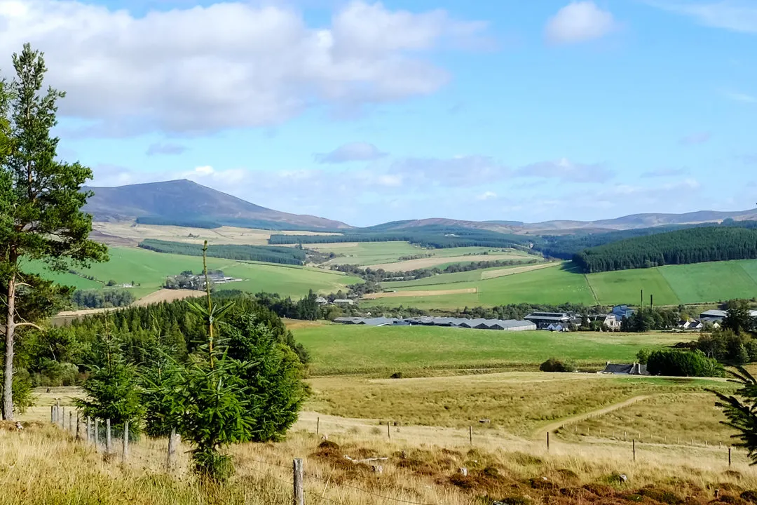 Glenlivet