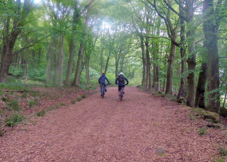 Things to do in Fife outdoors from the Fife Coastal Path to Cluny