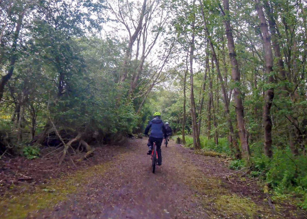 Things to do in Fife outdoors from the Fife Coastal Path to Cluny