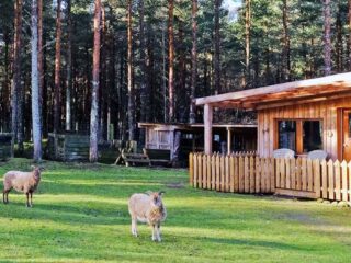 Lazy Duck log cabin scotland