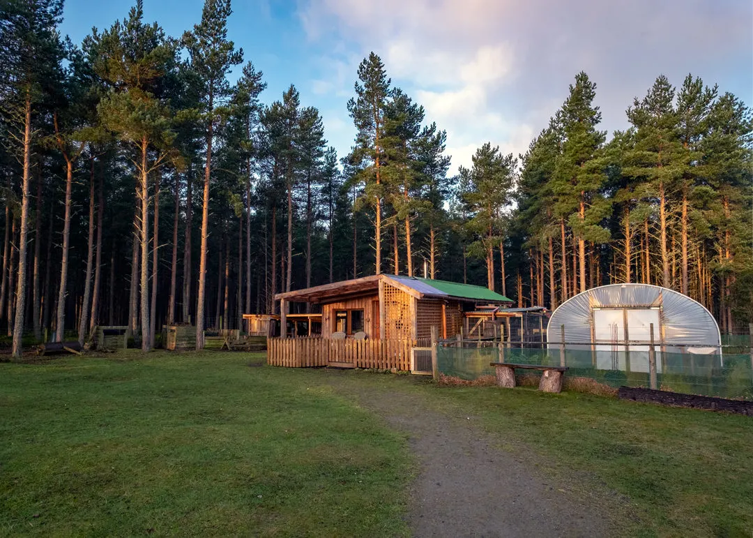 Lazy Duck log cabin scotland